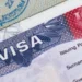 USA – U.S. Intensifies Student Visa Revocations Amid Immigration Crackdown