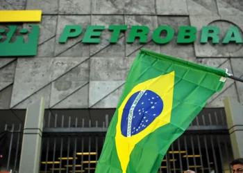 Brazil – Petrobras Finalises Animal Rescue Center Needed for Offshore Drilling Approval