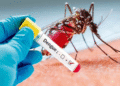 Pakistan – Haripur Launches Aggressive Anti-Dengue Campaign to Combat Rising Health Threat