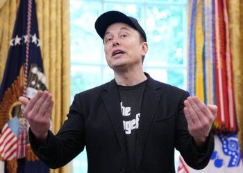 USA – Why Elon Musk’s ‘America Party’ Is Unlikely to Break the Two-Party System