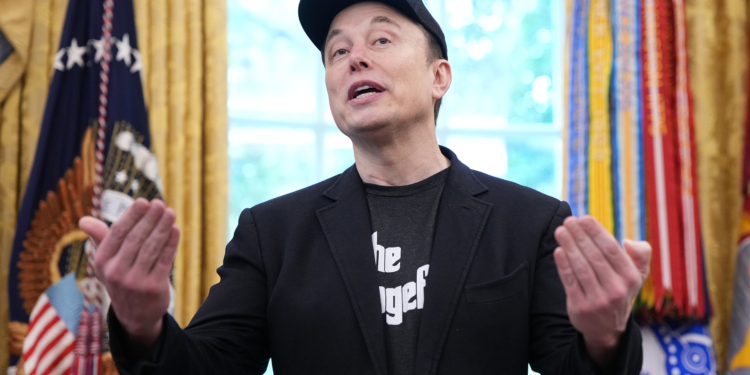 USA – Why Elon Musk’s ‘America Party’ Is Unlikely to Break the Two-Party System