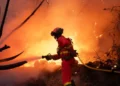 Spain – Escalating Temperature and Wind Speeds Fuel Wildfire Crisis in Spain’s León Province